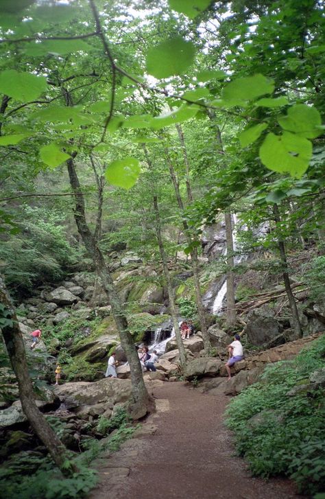 Virginia Hikes, Hikes In Virginia, Virginia Waterfalls, Appalachian People, Virginia Vacation, Virginia Travel, Virginia Is For Lovers, Honeymoon Ideas, Beautiful Hikes