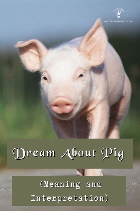 dream meanings Symbols Of Life, Different Meaning, Dream Symbols, Dream Meanings, Dream Interpretation, Life Symbol, Positive And Negative, Pigs, Fitness Tips