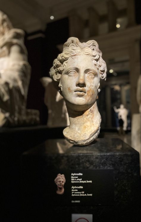 Greek Sculpture Aphrodite, Aphrodite Greek Statue, Aphrodite Face, Aphrodite Bust, Aphrodite Greek Mythology, Aphrodite Sculpture, Sculpture Greek Mythology, Aphrodite Statue, Aphrodite Art