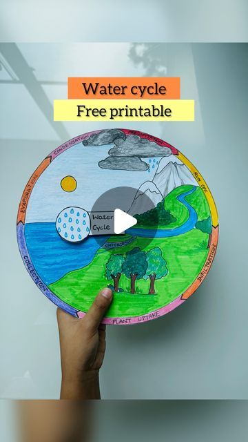 The Water Cycle Project, Water Cycle Foldable, Water Cycle Craft, Water Cycle Model, Water Cycle Poster, Water Cycle Project, Save The Water, Types Of Precipitation, Water Cycle Activities