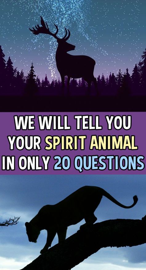 Spirit Animal Test, Spirit Animal Quiz, Find Your Spirit Animal, Animal Quiz, Animal Spirit Guides, Spirit Animal Art, Wolf Spirit Animal, Your Spirit Animal, 20 Questions