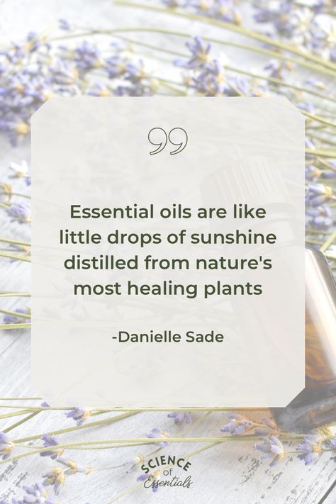 Essential oils, nature, healing, plants, quotes, science of essentials Essential Oils Quotes, Summer Essential Oils, Oil Quote, Linkedin Cover, Essential Oils Doterra, Essential Oil Education, Nature Healing, Essential Oils 101, Aromatherapy Recipes