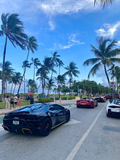 Miami Cars, Bal Harbour Miami, Lamborghini Pictures, My Life Aesthetic, Car Aesthetics, Miami Vacation, Living Luxury, Miami Life, Samurai Art