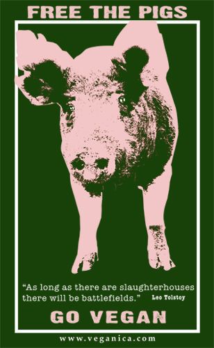 Poster - Go Vegan Eco Anarchism, Vision 2023, Pig Logo, Human And Animal, Vegan Art, Animals And Nature, Animal Activism, Vegan Quotes, Animal Liberation