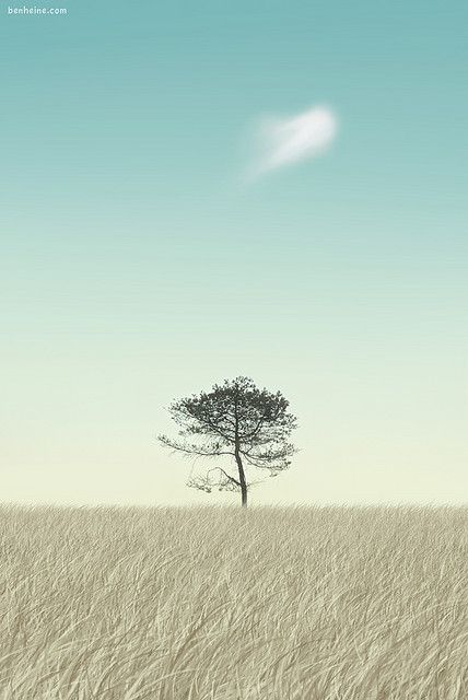 Lonely, really Lonely | Flickr - Photo Sharing! Background Minimal, Ben Heine, Minimal Photo, Minimal Photography, Minimalist Photos, Lone Tree, Desenho Tattoo, Minimalist Photography, Beautiful Tree