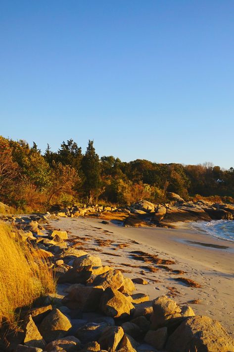 There’s much more to Massachusetts than just Boston. Whether it’s discovering literary history in Lenox or hitting the beaches of Martha’s Vineyard, the Bay State has plenty up its sleeve. These are the most beautiful places in Massachusetts outside of the capital (in our humble opinion). Hadley Massachusetts, Race Point Beach, Massachusetts Aesthetic, Fall River Massachusetts, Oak Bluffs, Fall Photo, Fall River, New England Style, Scream Queens