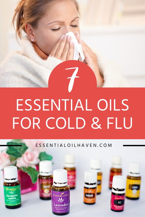 Oils To Diffuse For Colds, Young Living Oils For Colds, Best Essential Oils For Colds, Essential Oil Cold Remedy Diffuse, Oils For Head Cold, What Essential Oils Are Good For Colds, Essential Oils When Sick, Essential Oils For Viral Infections, Essential Oil Blend For Colds