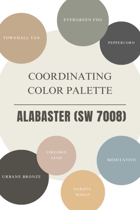 Sherwin Williams Alabaster Color Review Perfect Neutral Paint Color, Painted Built Ins, Sherwin Williams Extra White, Sherwin Williams Color Palette, Sherwin Williams Alabaster, Beige Paint Colors, Alabaster Color, Modern Farmhouse Ideas, Warm Paint Colors