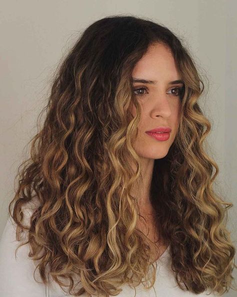 dark-hair-with-blonde-highlights. Desert Hair Color, Blonde Curly Balayage Natural, Light Brown Balayage Wavy Hair, Money Piece Wavy Hair, Curled Hair With Highlights, Blind Highlights On Light Brown Hair, Natural Wavy Hair Balayage, Curly Blonde Hair Balayage, Highlights Wavy Brown Hair