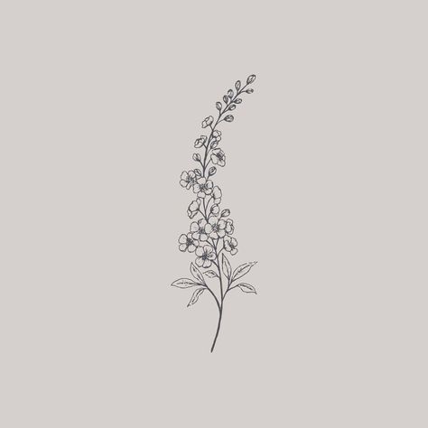 518 Likes, 3 Comments - Gooseberry Moon | Nicola Jones (@gooseberrymoon) on Instagram: “Delphinium line drawing. It's just asking to be turned into a repeat pattern!” Tattoo Ideas Larkspur, Fireweed Drawing Tattoo Ideas, Adonis Flower Tattoo, Larkspur Flower Drawing Tattoo Ideas, Larkspur Embroidery, Fireweed Drawing, Larkspur Tattoo Design, Larkspur Flower Drawing, Larkspur Drawing