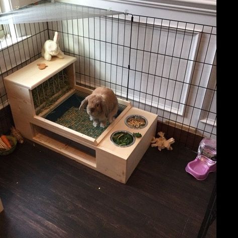 Diy Bunny Cage, Indoor Rabbit House, Diy Bunny Toys, Rabbit Shed, Rabbit Enclosure, Bunny Cage, Rabbit Habitat, Pet Rabbit Care, Rabbit Farm