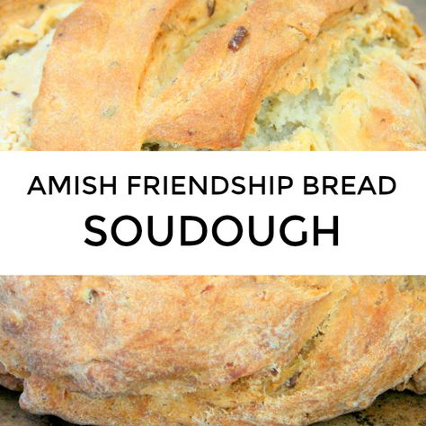 Amish Friendship Bread Starter Recipes Cookies, Friendship Sourdough Starter, Sourdough Amish Friendship Bread, Amish Starter Bread Recipes, Amish Friendship Bread Recipes From Starter, Amish Friendship Bread With Starter, Sourdough Friendship Bread, Amish Friendship Bread Starter Recipes Sourdough, Recipes With Amish Bread Starter