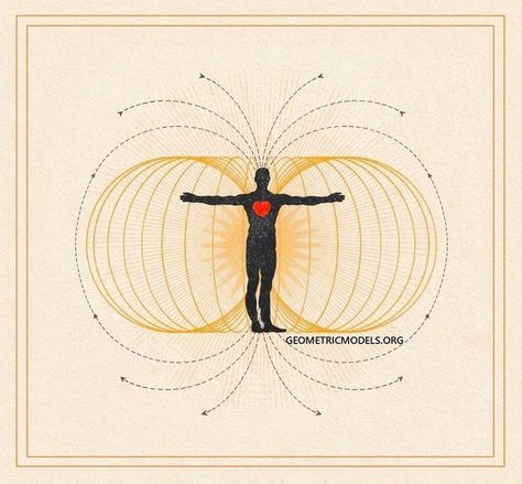 Heart Coherence, The Golden Mean, Drawing Tutorials For Beginners, Heart Illustration, Magnetic Field, Educational Websites, Energy Field, Spiritual Art, Sacred Geometry