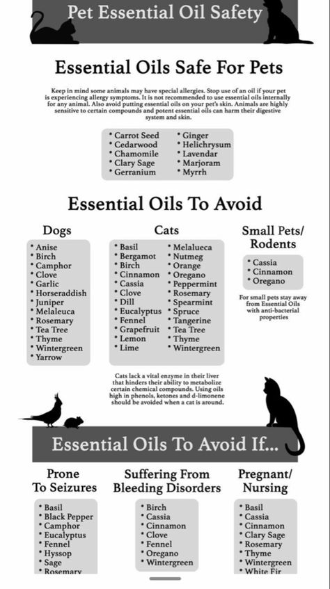 Essential Oils For Cats, Dog Safe Essential Oils, Essential Oils For Dogs, Essential Oils Cats, Essential Oils Dogs, Benefits Of Essential Oils, Săpunuri Handmade, Are Essential Oils Safe, Dog Remedies