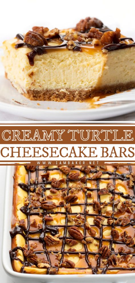 Easy Turtle Cheesecake Recipes No Bake, Turtle Topping For Cheesecake, Turtle Cheesecake Bars Recipe, Turtle Cheesecake Bites, Cheesecake Bars Chocolate, Mini Turtle Cheesecake Recipe, Turtle Pecan Cheesecake, Candy Bar Cheesecake Recipes, Cheesecake Bar Recipes Easy