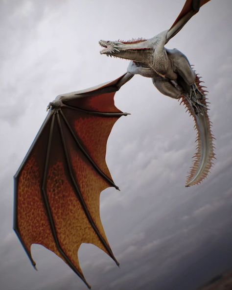 House Of The Dragon Dragons Art, Meraxes Dragons, Game If Throne Dragon, Dragons Game Of Thrones, Ice Dragon Game Of Thrones, Got Dragon, Viserion Dragon, Dragon Game Of Thrones, Targaryen Dragons