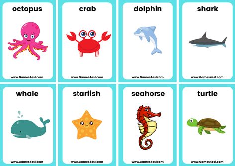 Free printable flashcards to teach English vocabulary to do with Sea Animals. Ocean Animal Flashcards, Ocean Animals Flashcards, Sea Animals Printables Free, Ocean Animals Printables, Sea Animals Flashcards Free Printable, Printable Flashcards For Toddlers Free, Animal Flashcards Printable Free, Sea Animals Worksheets For Kids, Animals Flashcards For Kids