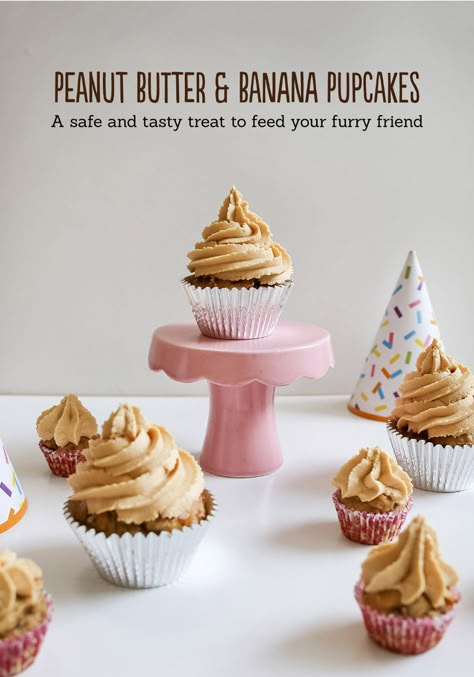 Dog Safe Cake Recipe, Butter Cupcake Recipe, Pup Cakes, Dog Birthday Cake Recipe, Pup Treats, Dog Cake Recipes, Your Dog, Cake Dog, Dog Cupcakes