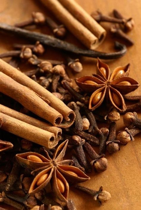 Herbal Logo, Spices Photography, Jewelry Product Shots, Food Art Photography, Fruit Photography, Room Fragrances, Spices And Herbs, Star Anise, Spices And Seasonings