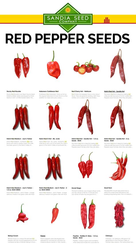 Sandia Seed specializes in Red Pepper Seeds – ranging from Super Hot Peppers like the hottest pepper in the world, the Carolina Reaper... to deliciously Sweet Peppers such as the Pimento Seeds, the Italian treasure: Jimmy Nardello seeds, as well as the open-pollinated Stocky Red Rooster which is a super flavorful frying pepper. Growing Hot Pepper, Best Salt, Salt Substitute, Types Of Peppers, Pepper Recipes, Anti Inflammation Recipes, Hot Pepper Seeds, Spice Mix Recipes, Hot Sauce Recipes