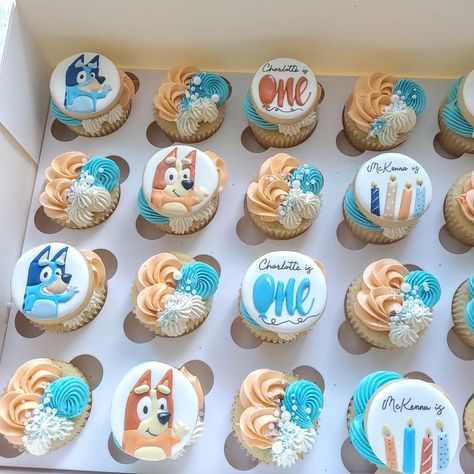 It's a Bluey Birthday! When sisters share a party, it's bound to be loads of fun! Wishing Charlotte and McKenna the best day ever. . . #blueybirthday #birthdaycupcakes #cupcakesofinstagram #nhbakery #nhbaker #cookietoppers #customdesserts #Merrimacknh #southernnh #cupcakes #orangeandblue Bluey Cupcakes Ideas, 21 Cupcake Cake Number, Bluey Birthday Cupcakes, Bluey Cupcake Ideas, Bluey Cupcakes, Twin Birthday Cakes, First Birthday Cupcakes, Bluey Birthday, Custom Desserts