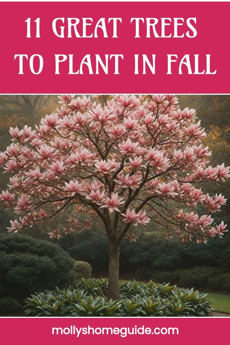 Discover the best trees to plant in the fall for a beautiful blooming spring yard. Fast-growing trees for fall planting can transform your garden into a vibrant paradise. Explore our selection of fast-growing shade trees to plant and enhance any backyard landscape. From fall trees and shrubs to woody shrubs that add stunning autumn color, find the perfect additions for your outdoor space. Planting in fall ensures strong root development during winter, leading to remarkable growth come spring. Pecan Trees Landscape, Planting In Fall, Best Shade Trees, Plant In Fall, Autumn Blaze Maple, Fast Growing Shade Trees, Trees For Front Yard, Growing Trees, Fall Planting