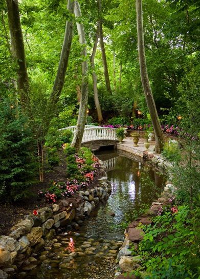 Beautiful Parks Garden, Park Ideas Design, Forest Garden Design, Park Aesthetic, Art In The Park, Beautiful Parks, Outdoor Park, Garden Wedding Venue, Garden Park