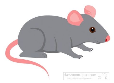 Rat Clipart, Mouse Vector, Mazes For Kids Printable, Mouse Clipart, Classroom Clipart, Funny Rats, Mouse Drawing, Funny Mouse, Easy Cartoon Drawings