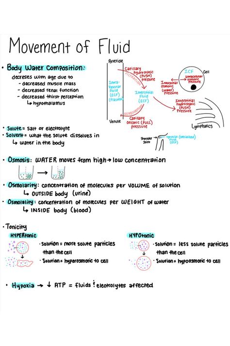 Osmolarity And Tonicity, Nursing Notes Goodnotes, Osmosis Nursing, Fluids Nursing, Fluid And Electrolytes Nursing Made Easy, Fluid And Electrolytes Nursing Notes, Fluids And Electrolytes Nursing, Fundamentals Of Nursing Notes, Osmolality Vs Osmolarity