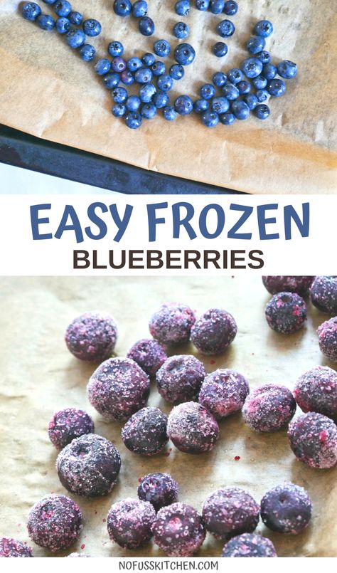 Check out this frozen blueberries recipe, including how to freeze fresh blueberries, tips on freezing blueberries, ideas for how to freeze blueberries so they don't go mushy, and ideas for how to use frozen blueberries! Frosted Blueberries, Freezing Blueberries, How To Freeze Blueberries, Freeze Blueberries, Canned Blueberries, Sugar Free Jello, Blueberry Syrup, Sugar Frosting, Blueberry Bread