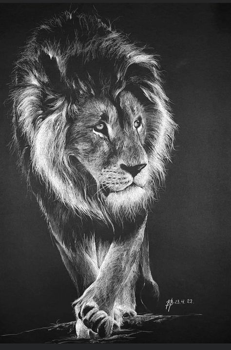 Black Paper Art, Art Markers Drawing, Scratchboard Art, Black Paper Drawing, Animal Drawings Sketches, Art Charcoal, Scratch Art, Charcoal Art, Black And White Painting