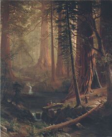 This Land Is Your Land Albert Bierstadt Paintings, Redwood Trees, Albert Bierstadt, Short Stories For Kids, Giant Tree, Redwood Tree, Van Gogh Paintings, California Art, Pictures To Paint