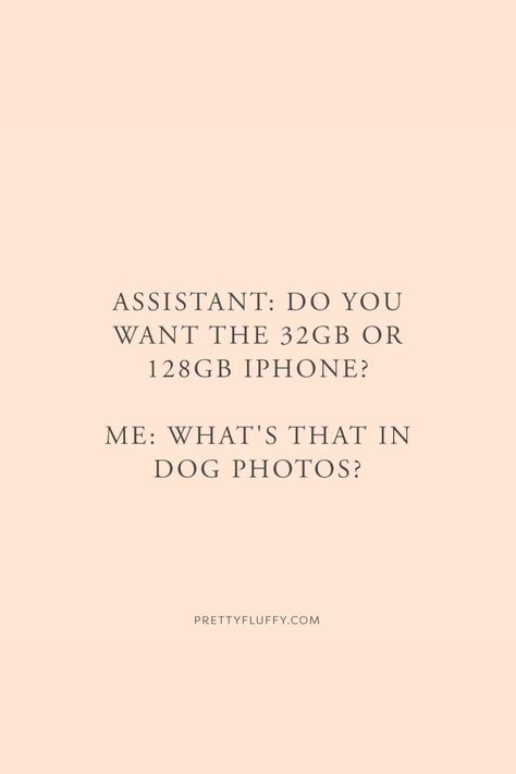 Funny Dog Captions Hilarious, Funny Quotes About Dogs, Funny Dog Quotes For Instagram, Dog Puns Captions Instagram, Relatable Dog Posts, Dog Thoughts Quotes, Quotes About Having Fun, Funny Dog Captions, Crazy Dog Lady Quotes