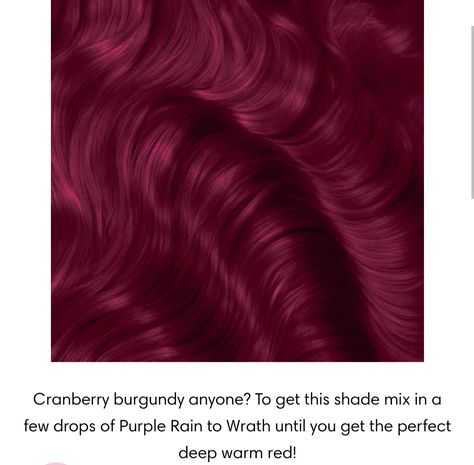 Dark Fantasy Hair Color, Arctic Fox Hair Dye Combinations Red, Wrath Arctic Fox Hair, Berry Colored Hair, Red Purple Hair Color, Berry Hair Color, Dark Magenta Hair, Pinkish Purple Hair, Plum Red Hair