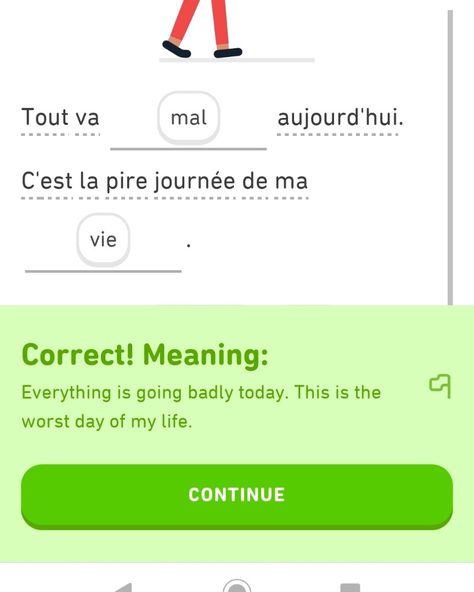 Duolingo French, Existential Despair, Worst Day, Day Of My Life, I Laughed, Of My Life, Meant To Be, Memes, Funny