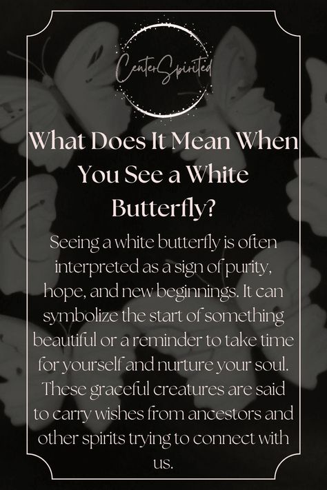 White Butterflies Meaning, White Butterfly Symbolism Meaning, White Butterfly Meaning, White Moth Meaning, Butterfly Symbolism Meaning, White Butterfly Spiritual Meaning, White Meaning, White Feather Meaning, White Butterfly Symbolism