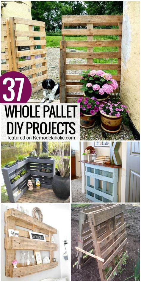 Get the reclaimed wood pallet look without the headache of taking apart a pallet. Get inspired with these 37 Whole Pallet Projects, no disassembly required @Remodelaholic Remodelaholic.com #palletprojects #pallets #diy #home #remodleaholic Zara Clothing, Outdoor Pallet Projects, Pallet Projects Garden, Diy Wood Pallet Projects, Pallet Projects Easy, Pallet Creations, Pallet Decor, Wooden Pallet Projects, Recycled Pallets