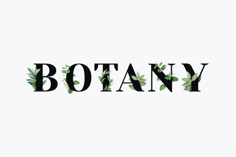 Botany Word Calligraphy, Botany Logo Design, Botany Wallpaper, Eco Illustration, Word Typography, Flower Typography, Plant Logos, Leaves Background, Wall Writing