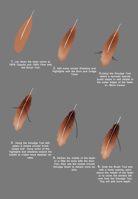 Simple Feather Digital Painting Guide by IDEEQ on DeviantArt How To Color Feathers Digital, How To Paint Feathers Digital, How To Render Feathers, Feather Digital Art, Feather Painting Tutorial, Feather Drawing Reference, How To Draw Feathers Step By Step, Feathers Reference, Feather Reference