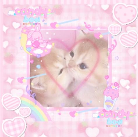 Pink Meme, Kawaii Illustration, Kawaii Core, Silly Cats Pictures, Cat Icon, Phone Stuff, Silly Animals, Kawaii Cat, All Things Cute