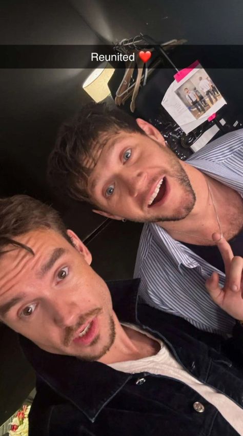 Liam Payne And Niall Horan, Niall Horan And Liam Payne, Liam Payne 2024, Liam Payne Wallpaper, One Direction Gif, Liam And Niall, Niall Horan Wallpaper, One Direction Background, Niall Horan Baby