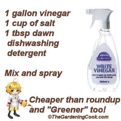 How to mix up a batch of greener, cheaper weed killer Have Inspiration, White Vinegar, Lawn And Garden, Round Up, Permaculture, Household Hacks, Lawn Care, Organic Gardening, Garden Projects