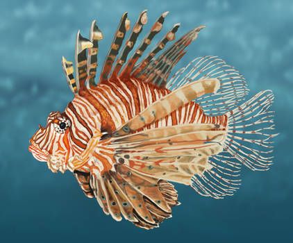 Reference Board, Animal Reference, Lion Fish, Beautiful Sea Creatures, Water Animals, Marine Fish, Fish Drawings, Underwater Life, Exotic Fish