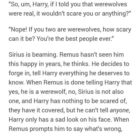 Raising Harry Potter, Wolf Star Raising Harry Fanart, Wolf Star Raising Harry, Wolfstar Raising Harry Fanart, Sirius Raising Harry, Wolfstar Raising Harry Fanfiction, Wolfstar Raising Harry Headcanon, Jegulus Raising Harry, Wolfstar Raising Harry