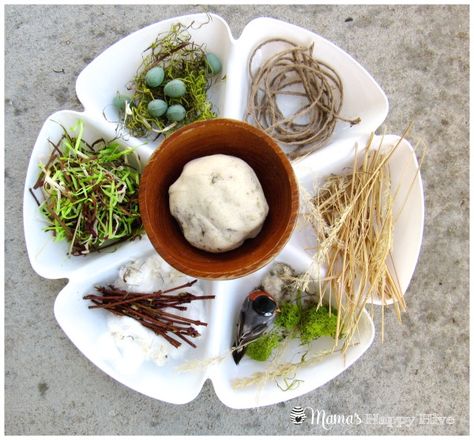 Build A Bird Nest, Preschool Birds, Best Fluffy Slime Recipe, Bird Nest Craft, Sensory Tray, Nourishing Traditions, Nature Education, Sensory Activity, Spring Preschool