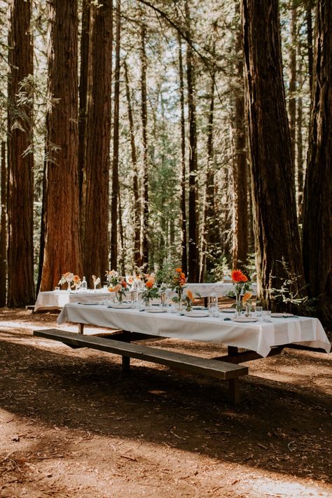 Summer Woodsy Wedding, Campsite Wedding Receptions, Redwood Wedding Decorations, National Park Wedding Reception, Zero Waste Wedding, Wedding In Redwoods, Park Wedding, Wedding Redwoods, Wedding Ceremony Pine Trees