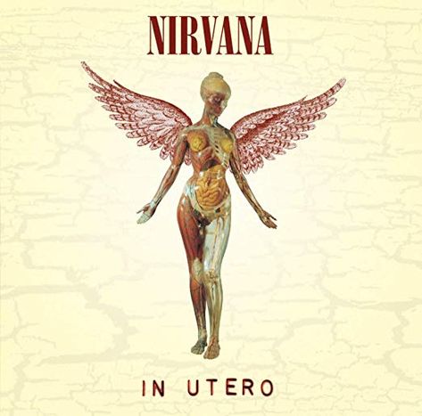 Nirvana In Utero, Hip Problems, Emo Anime, In Utero, Nirvana Kurt Cobain, Nirvana Kurt, Iconic Album Covers, Universal Pictures, Wall Board