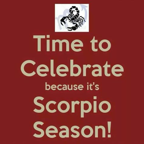 Time to celebrate because scorpio season is here Scorpio Season Is Here, Astrology Scorpio, Season Quotes, Scorpio Quotes, Scorpio Season, Time To Celebrate, Quote Aesthetic, Astronomy, Keep Calm