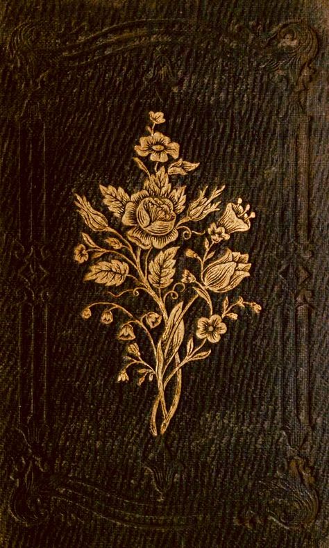 Epistolary Aesthetic, Old Book Cover Design, Victorian Book Cover, Fantasy Notebook, Book Cover Art Diy, Victorian Books, Vintage Book Covers, Book Cover Art, Old Book