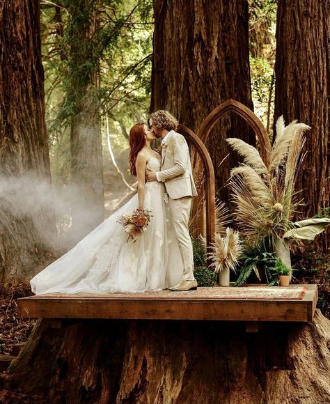 Ovy Camp Wedding, Camp Event, Wedding Venues California, Summer Camp Wedding, Redwood Trees, Venue Rental, Redwood Tree, By Appointment Only, Camp Wedding